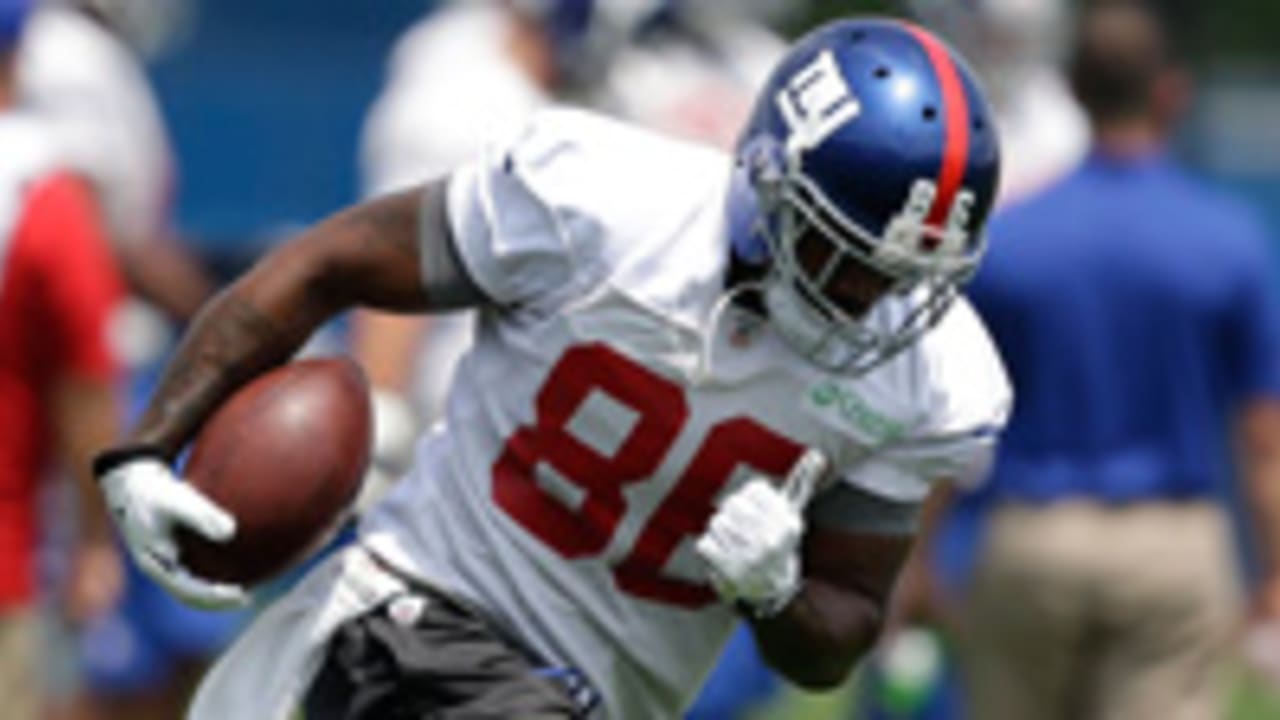 mario-manningham-140813-spot.jpg