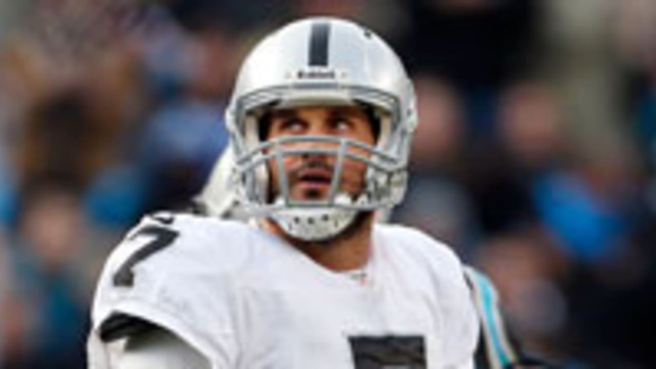 matt-leinart-spot_121228.jpg