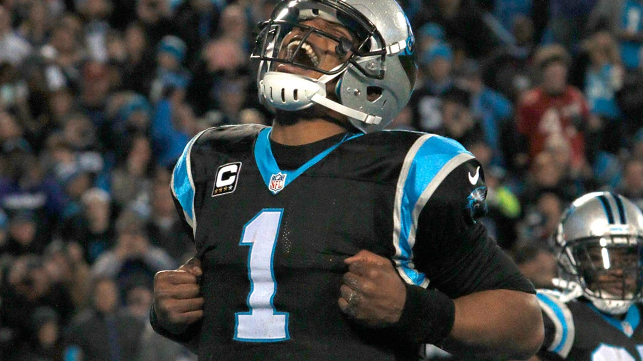 Newton-Cam-160103-SL.jpg