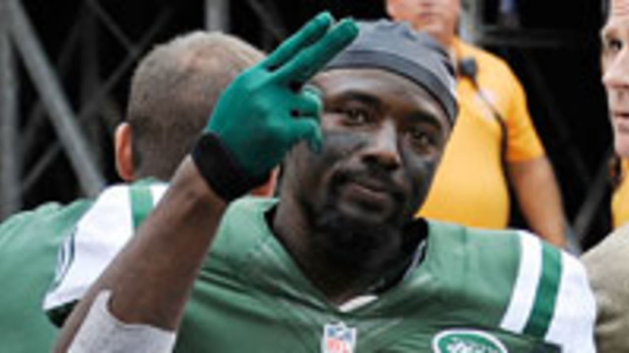 Santonio_Holmes_130612_SL.jpg