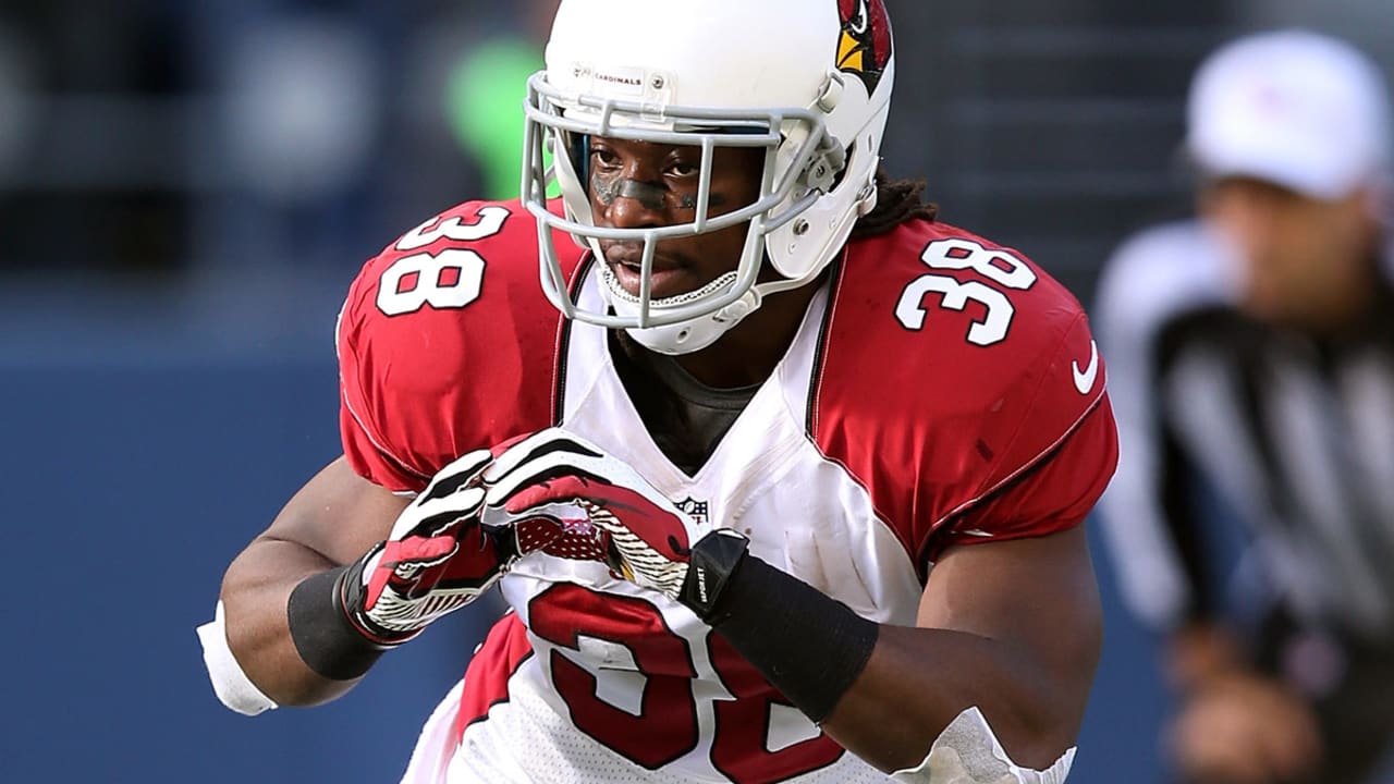 Andre-Ellington-SL-150813