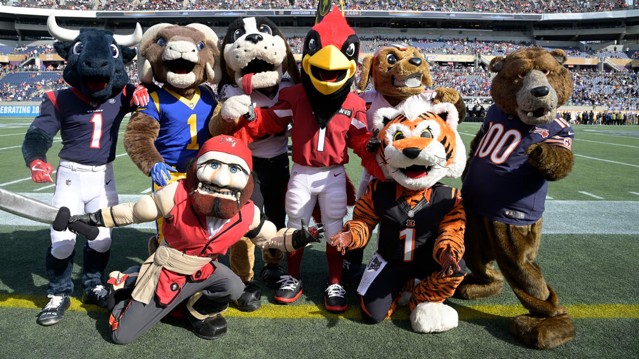 The Washington Commanders are getting a mascot but these 4 NFL teams are  without one