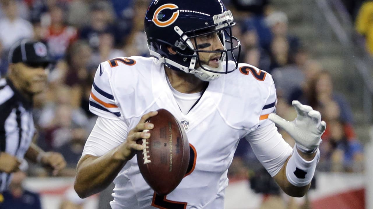 brian-hoyer-160822-spot.jpg