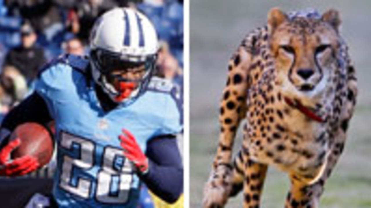 chris-johnson-cheetah-130723-spot.jpg