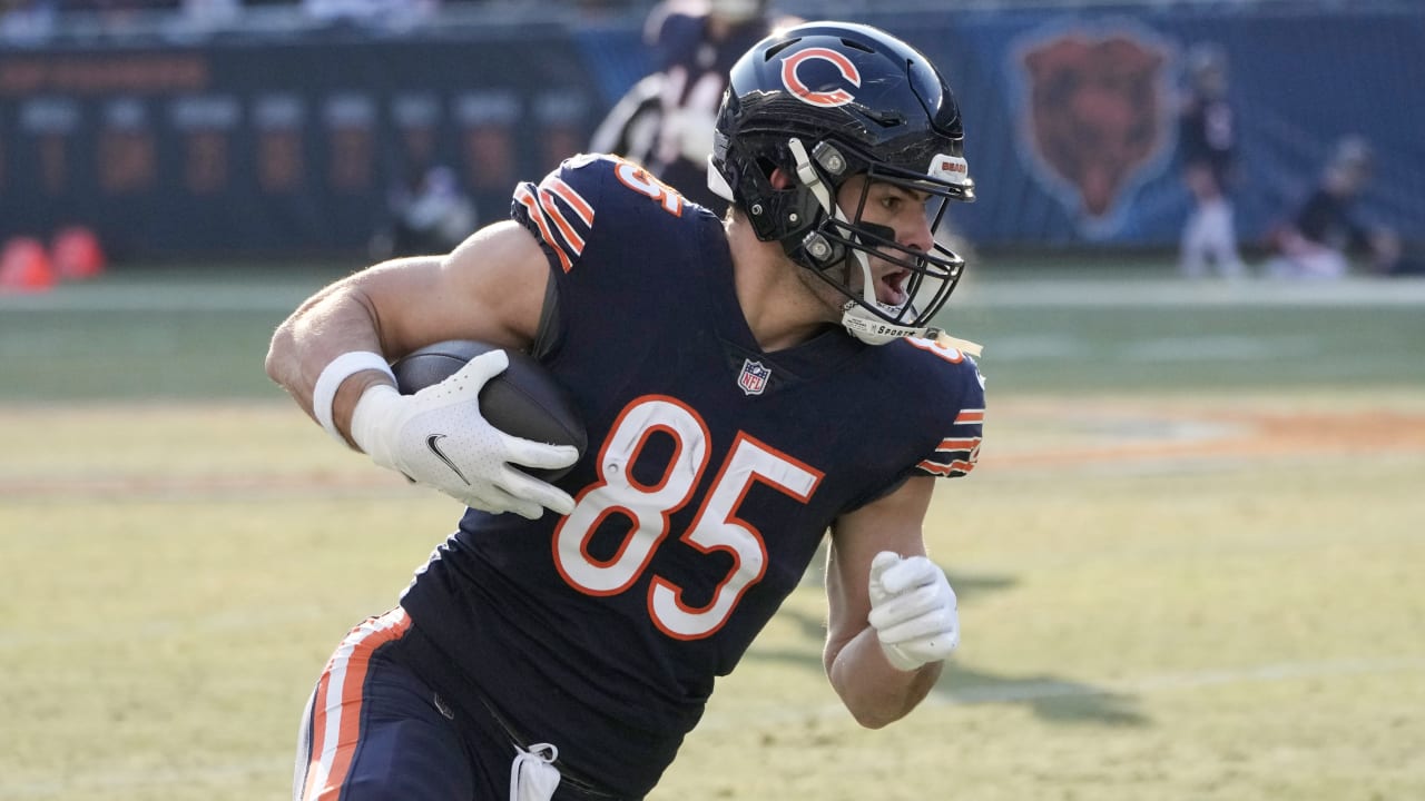 Cole Kmet: Stats, Injury News & Fantasy Projections