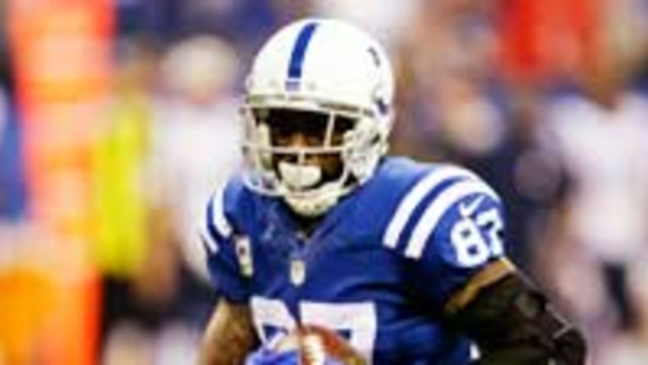 Reggie Wayne considering retirement after 2014
