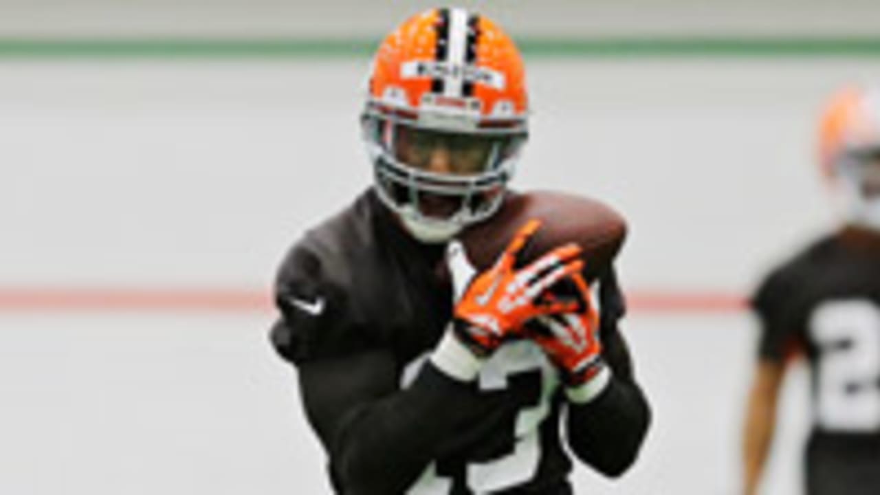 Nate Burleson 140509 SL