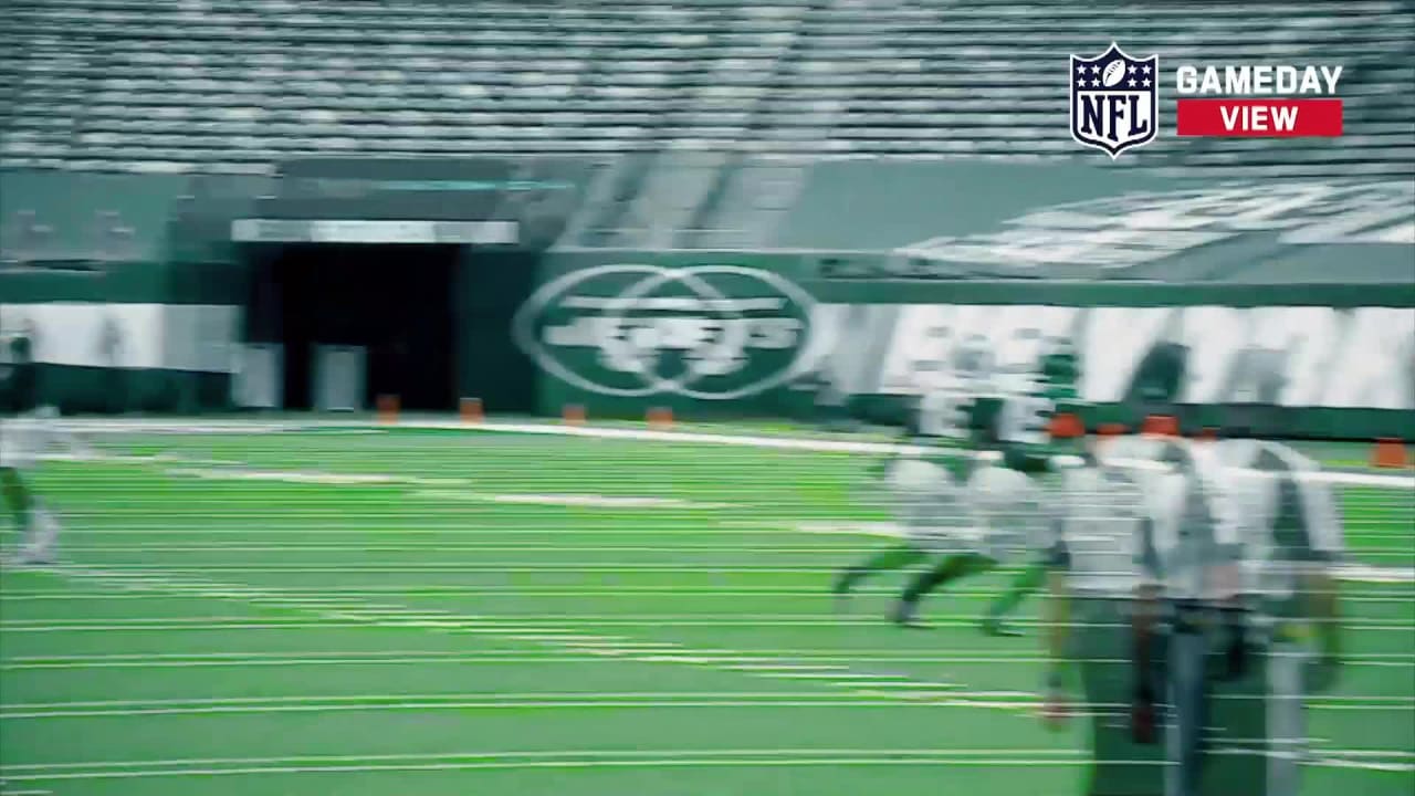 'NFL GameDay View' Week 10 Picks