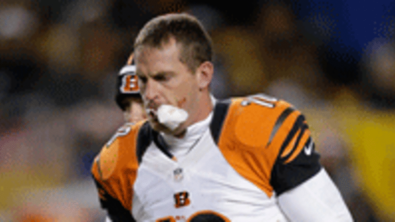 Bengals lose punter to broken jaw