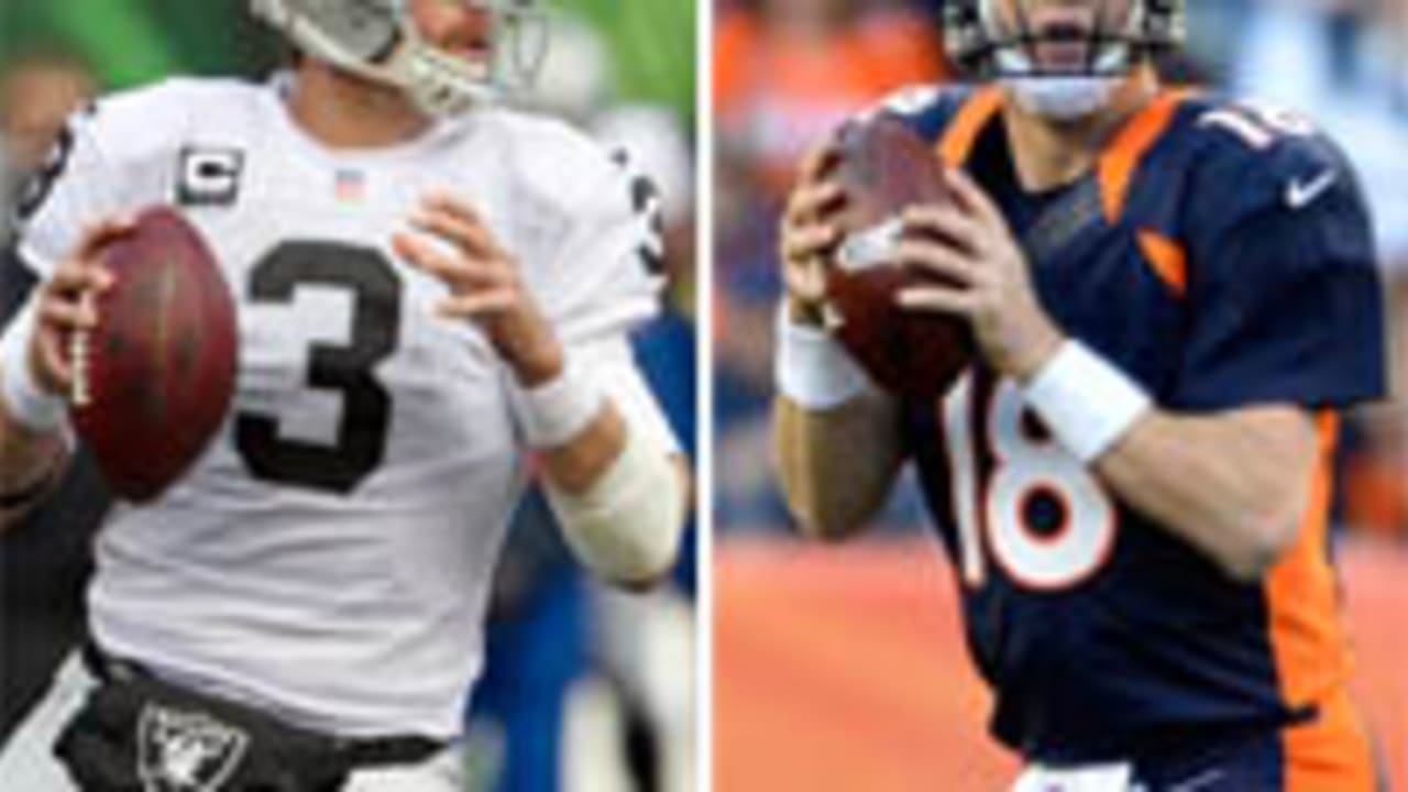 palmer-manning-121205-spot.jpg