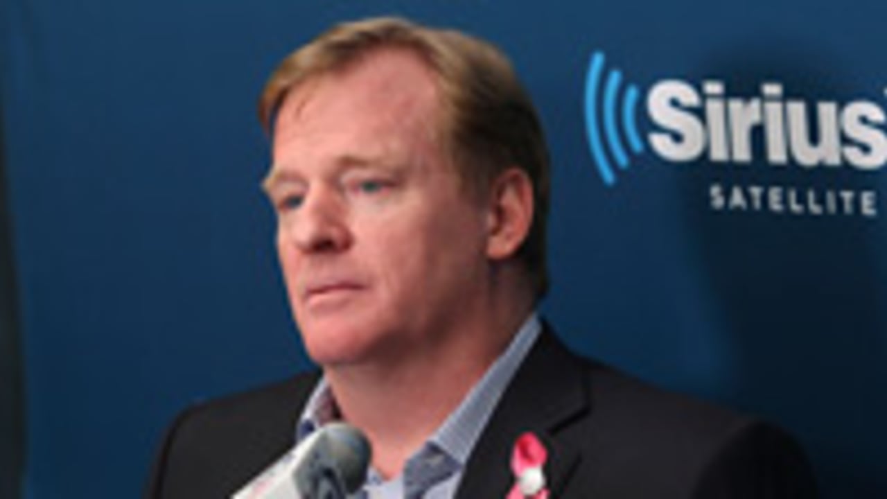 roger-goodell-121029-spot.jpg
