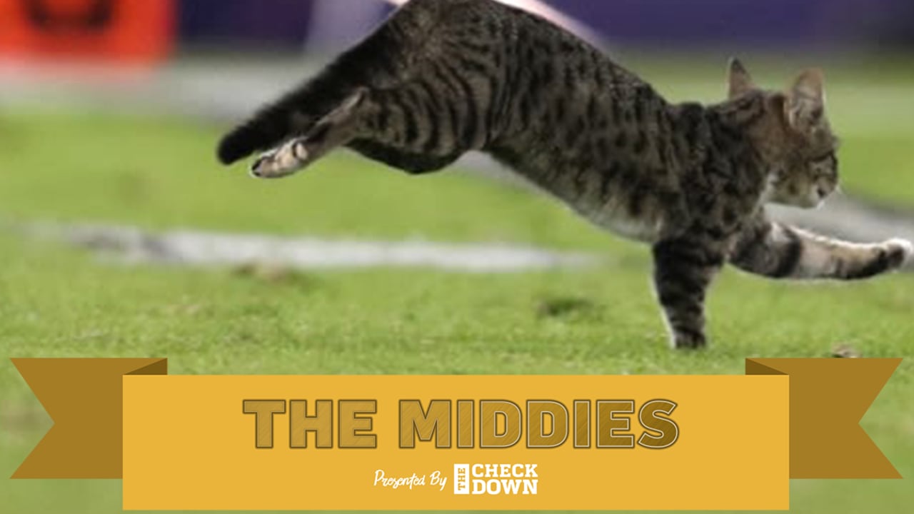 middiescatthumb