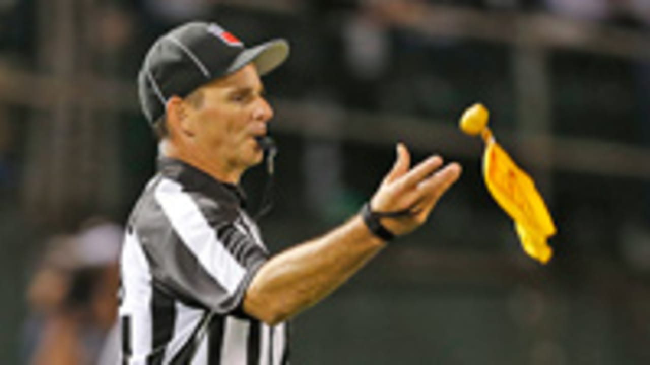 Flag-Ref-140811-SL.jpg