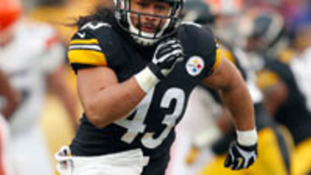 troy-polamalu-130220-spot.jpg