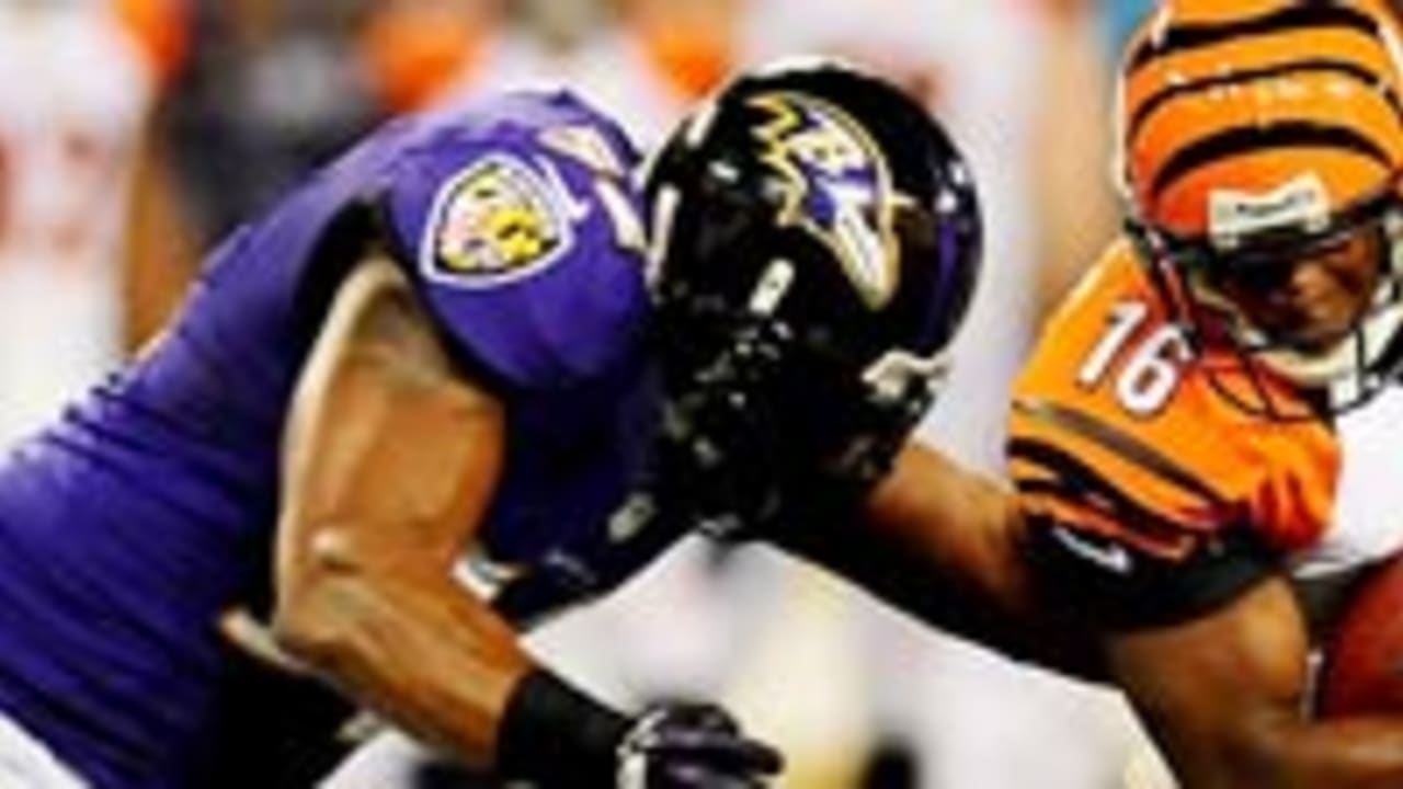 ray-lewis-120911-spot.jpg