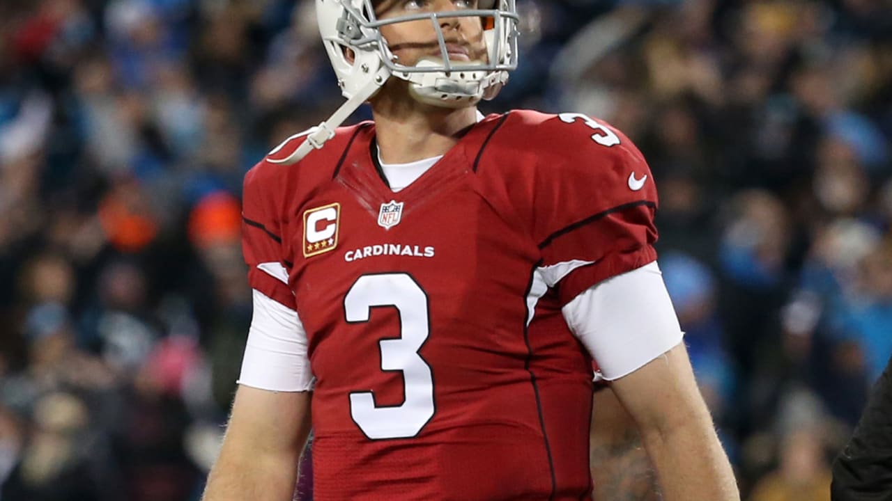 carson-palmer-070516