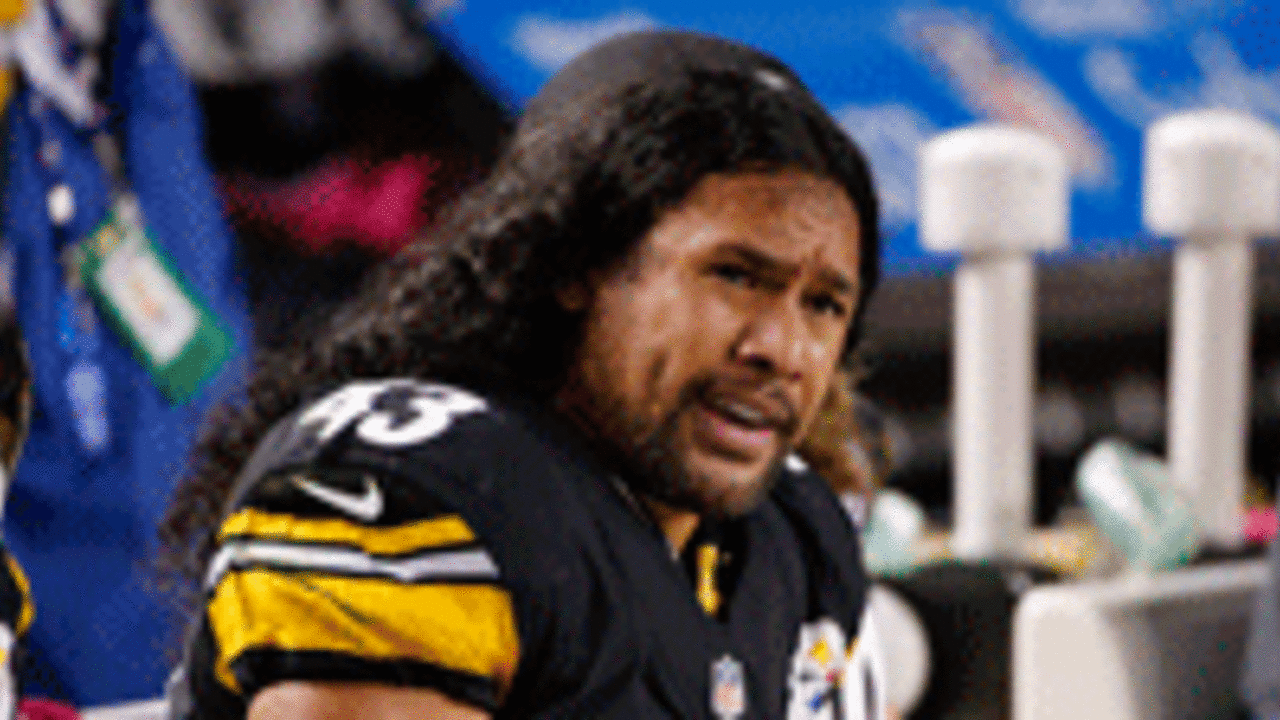 Troy Polamalu, Mike Tomlin? Who To Blame for the Steelers' Super