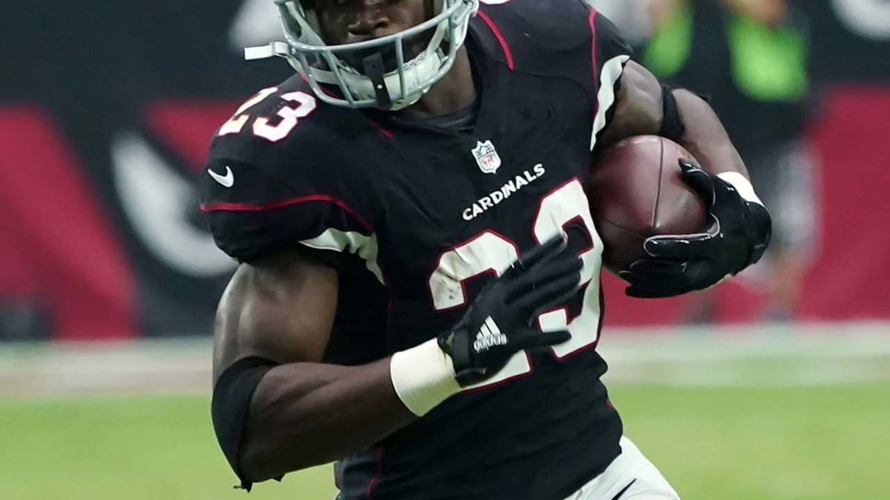 ADRIAN_PETERSON_110917
