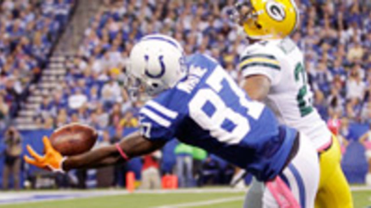 reggie-wayne-130506-Spot.jpg