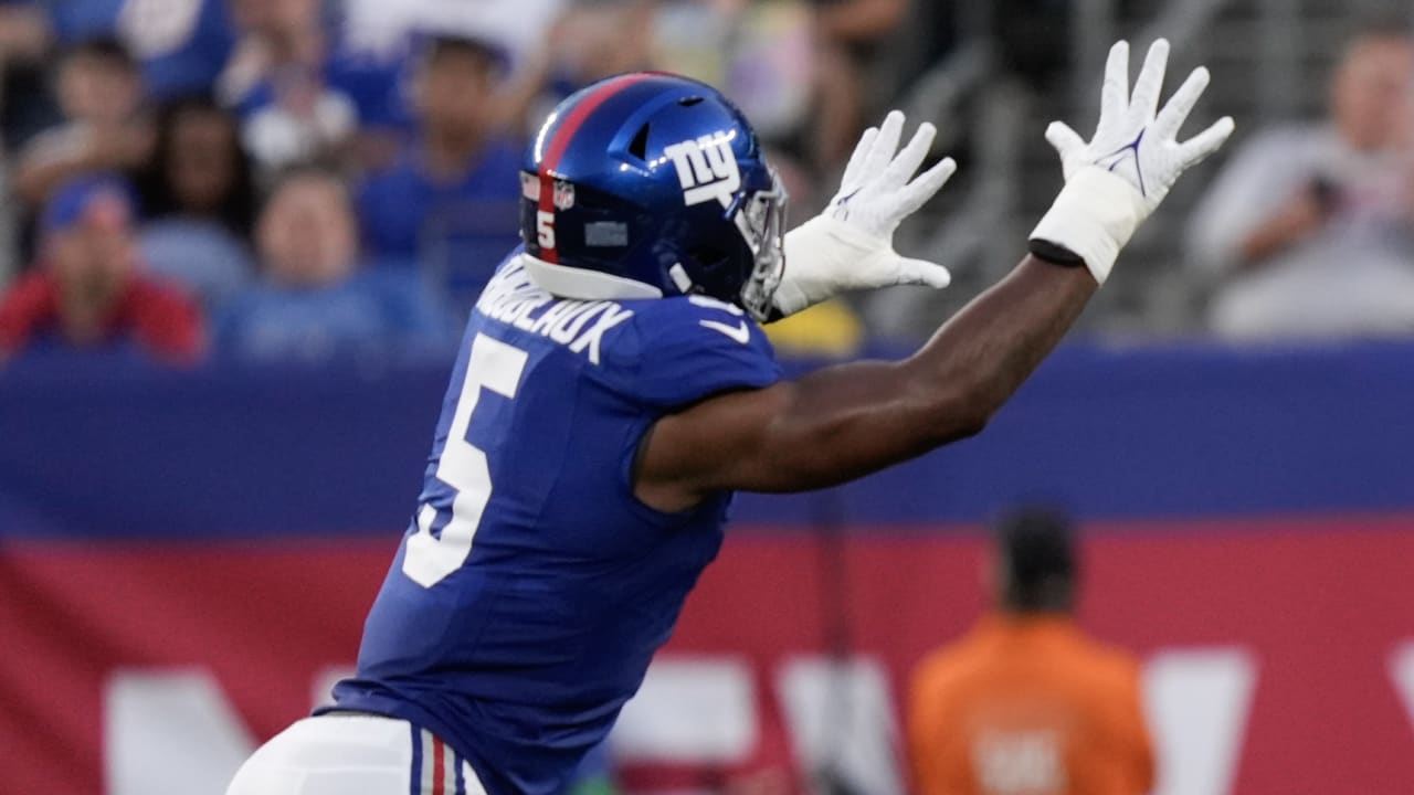 Recap and Scores of New York Giants 21-19 Carolina Panthers in NFL  Preseason Playoffs