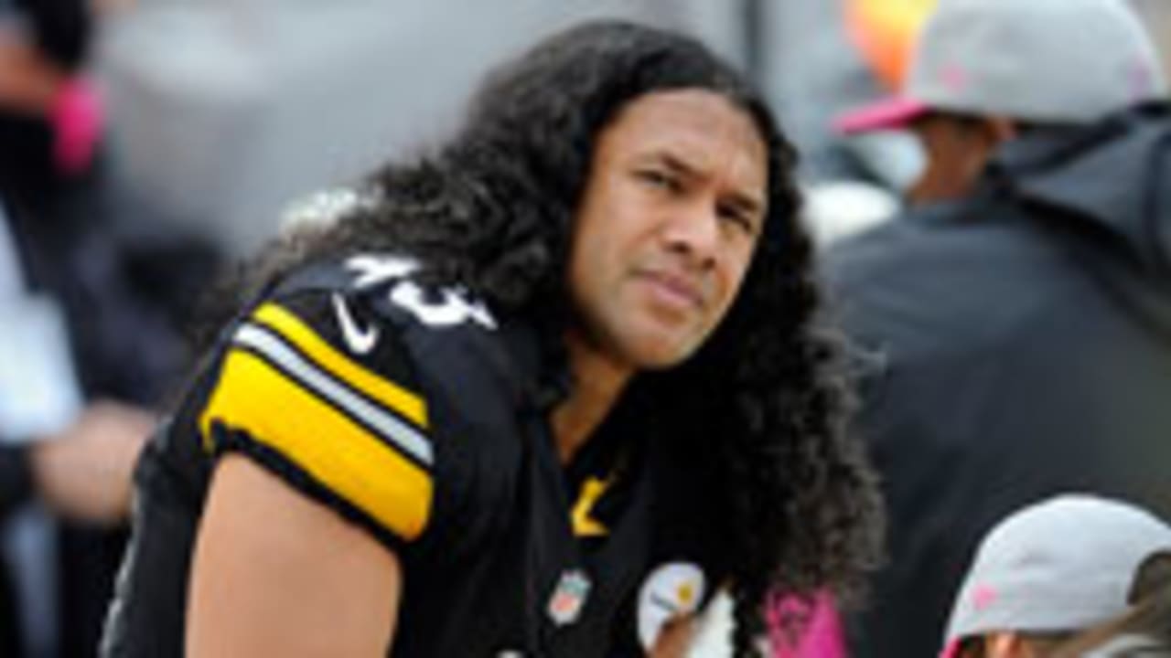 troy-polamalu-121023-spot.jpg