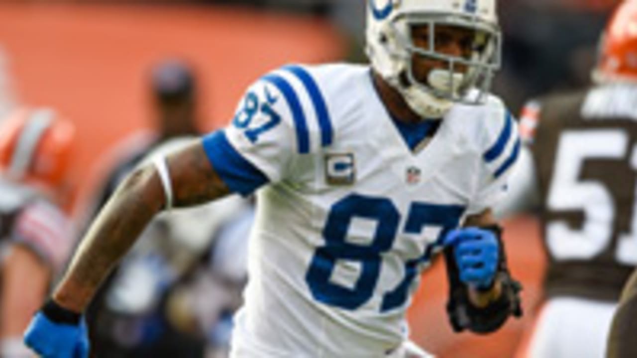 Reggie Wayne-141223-Spot.jpg