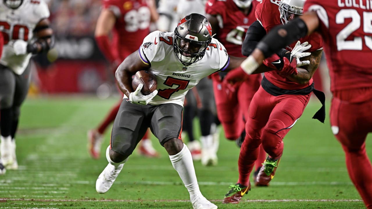 Green Bay Packers running back Ahman Green (34) during an NFL football game  against the Tampa Bay Buccaneers Sunday, Nov. 8, 2009, in Tampa, Fla. (AP  Photo/Chris O'Meara Stock Photo - Alamy