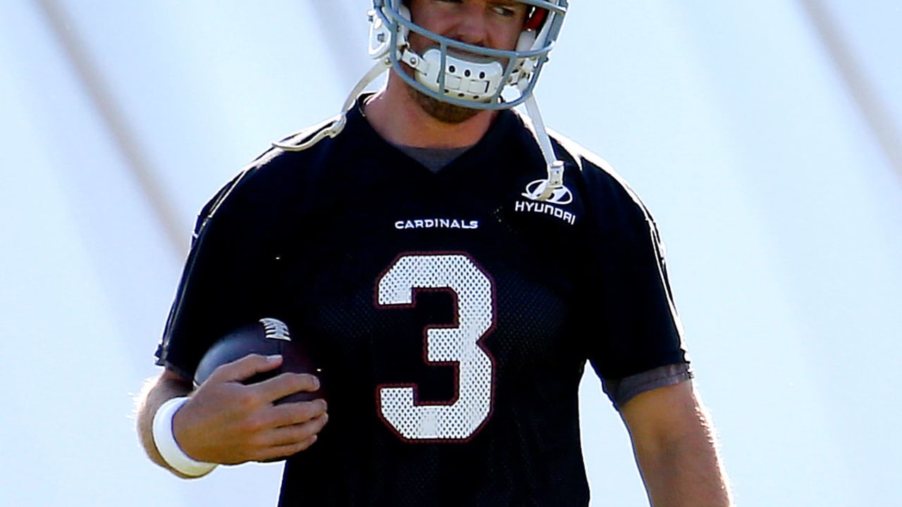carson-palmer-spot_160603.jpg