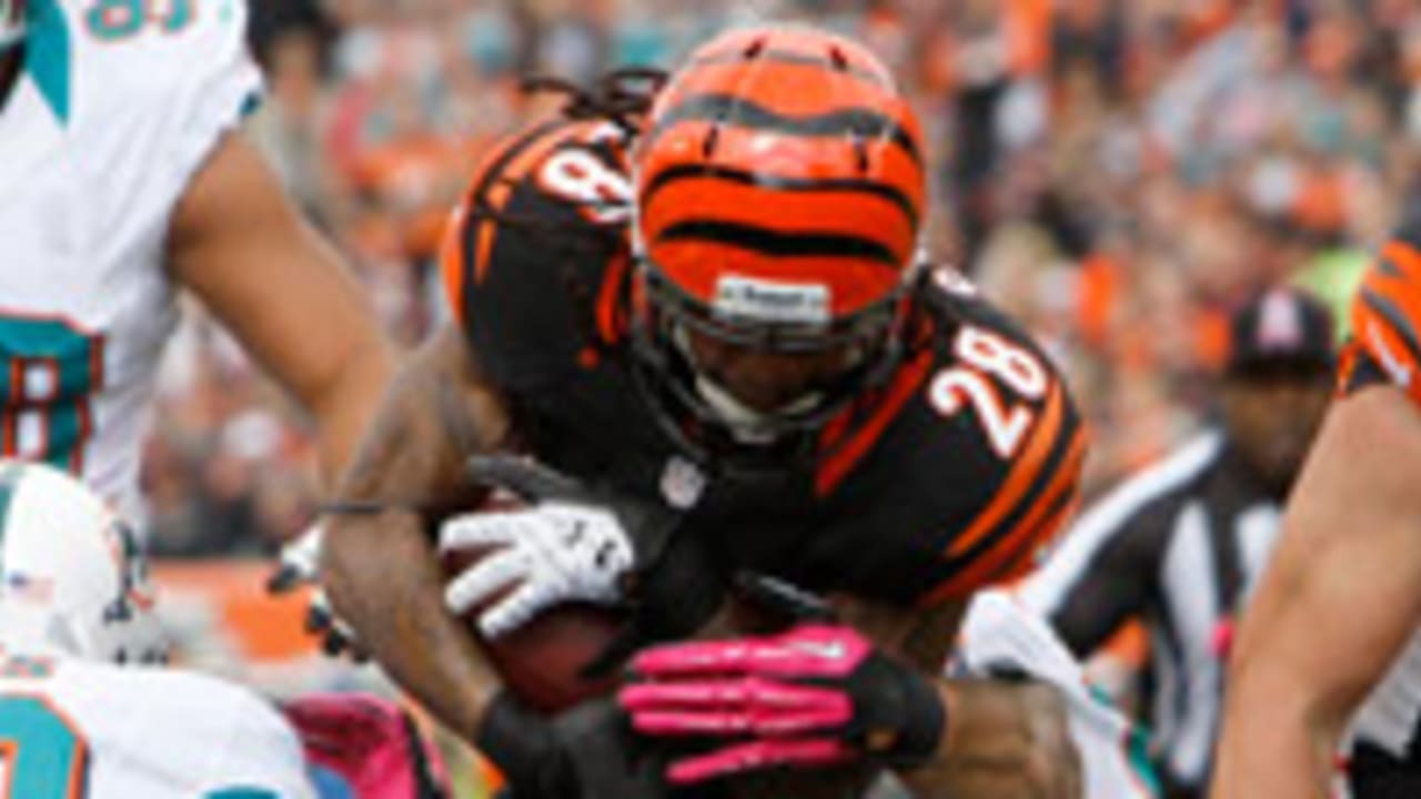 bernard-scott-121008-spot.jpg
