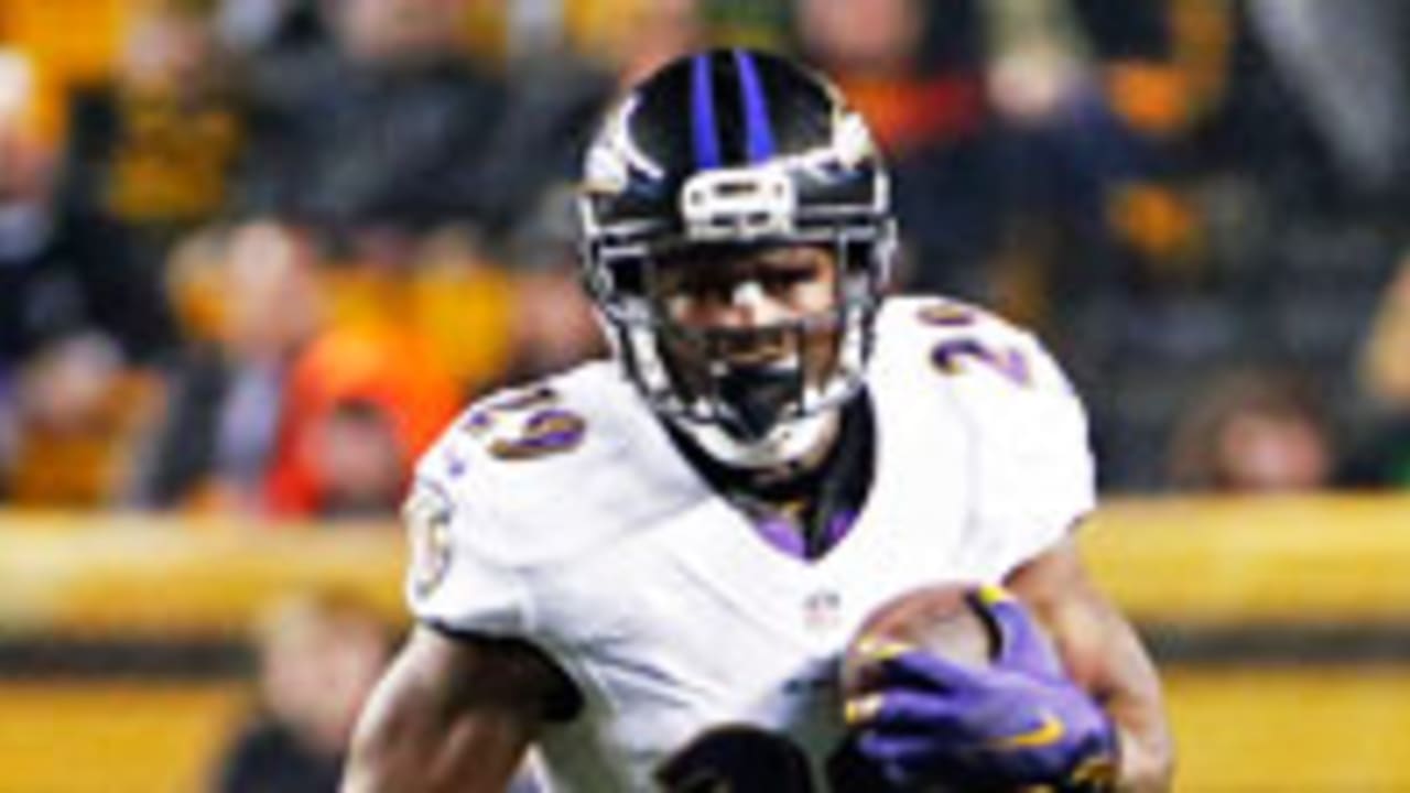 Ravens-Action-SL-150103
