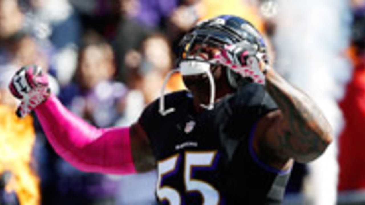 Terrell-Suggs-sl-110314.jpg