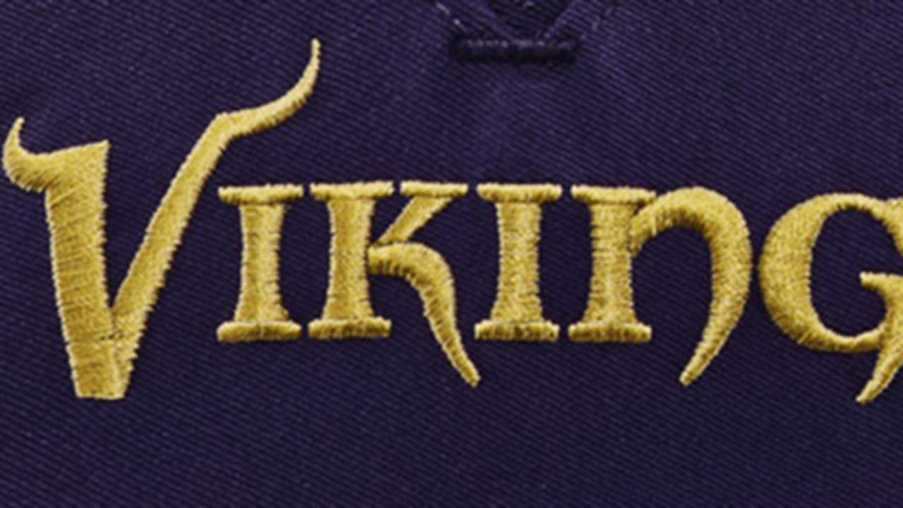 vikings-130404-WIDE.jpg