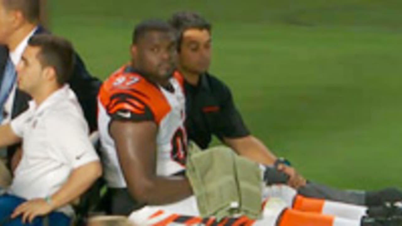 Geno-Atkins-sl-131031-2.jpg