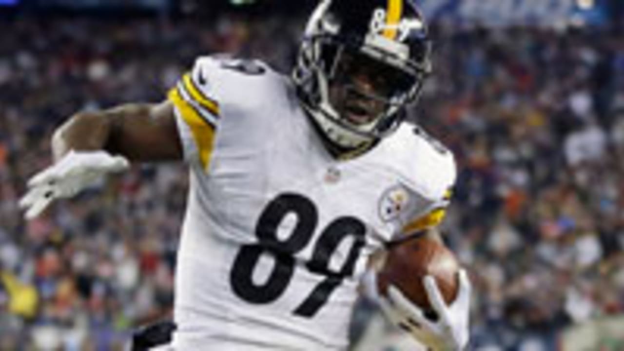 Panthers sign free agent WR Cotchery from Steelers