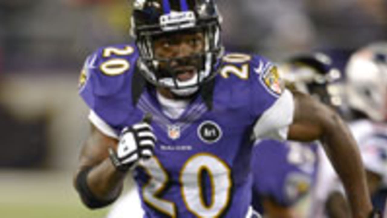 ed-reed-130314-spot.jpg