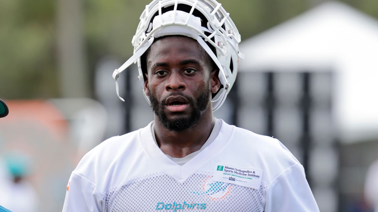 DeVante-Parker-180814-sl