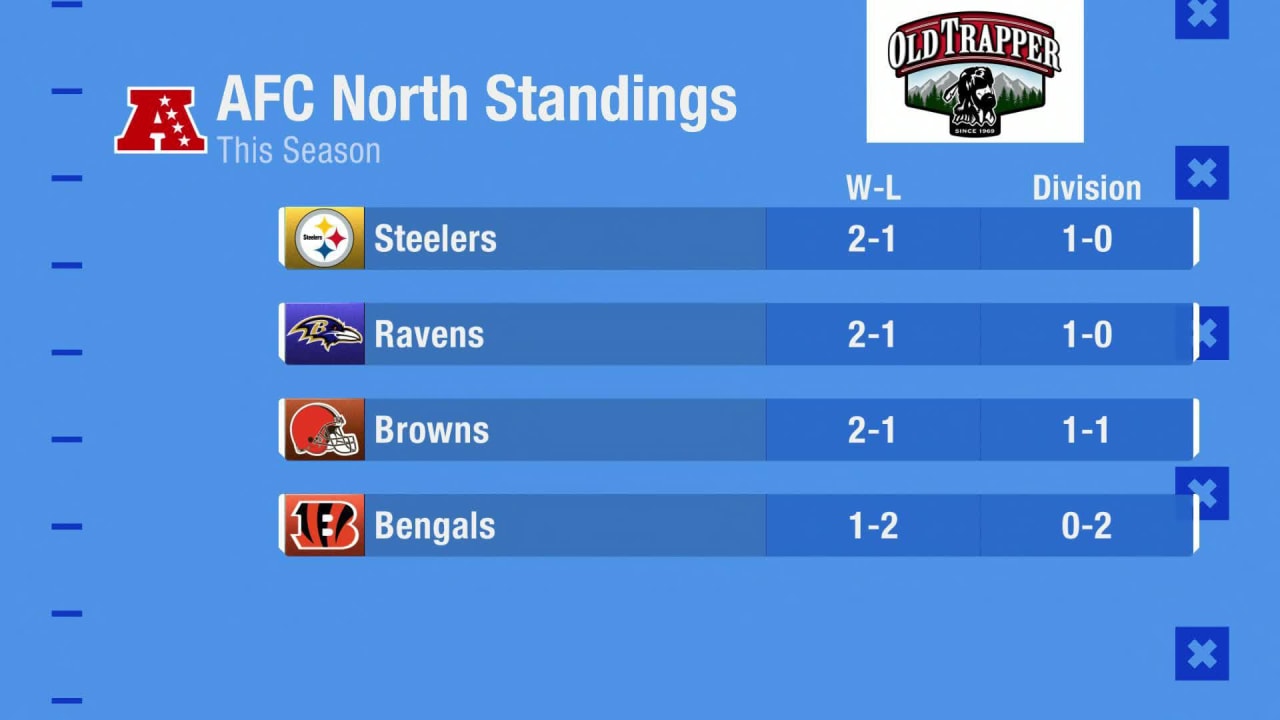 nfl north standings