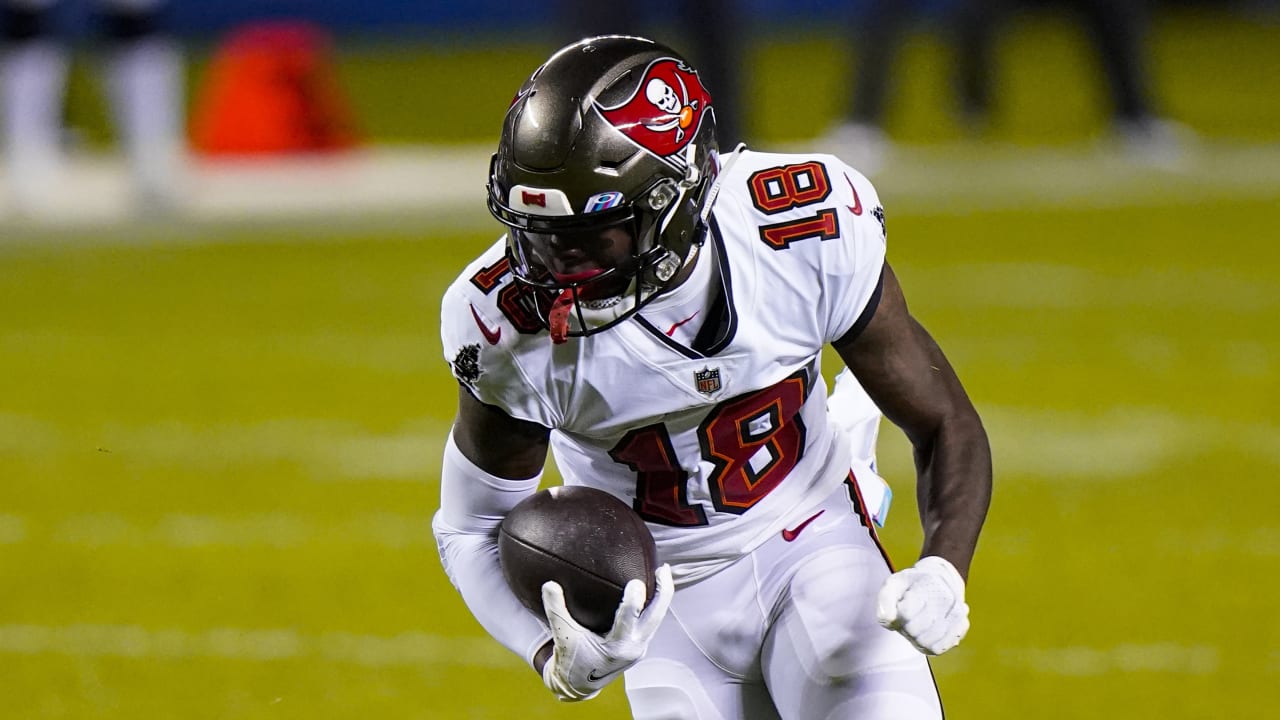 Tampa Bay Buccaneers wide receiver Tyler Johnson can't be contained by Bears defense after