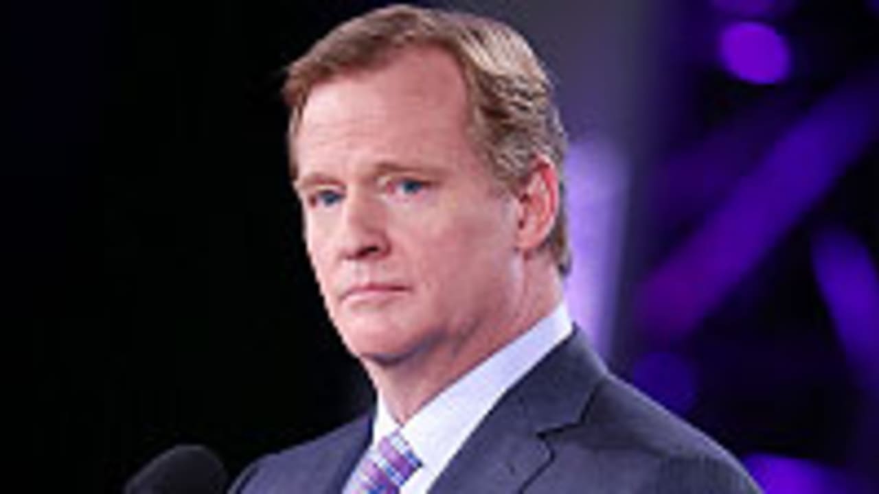 Roger-Goodell-130201-Spota.jpg