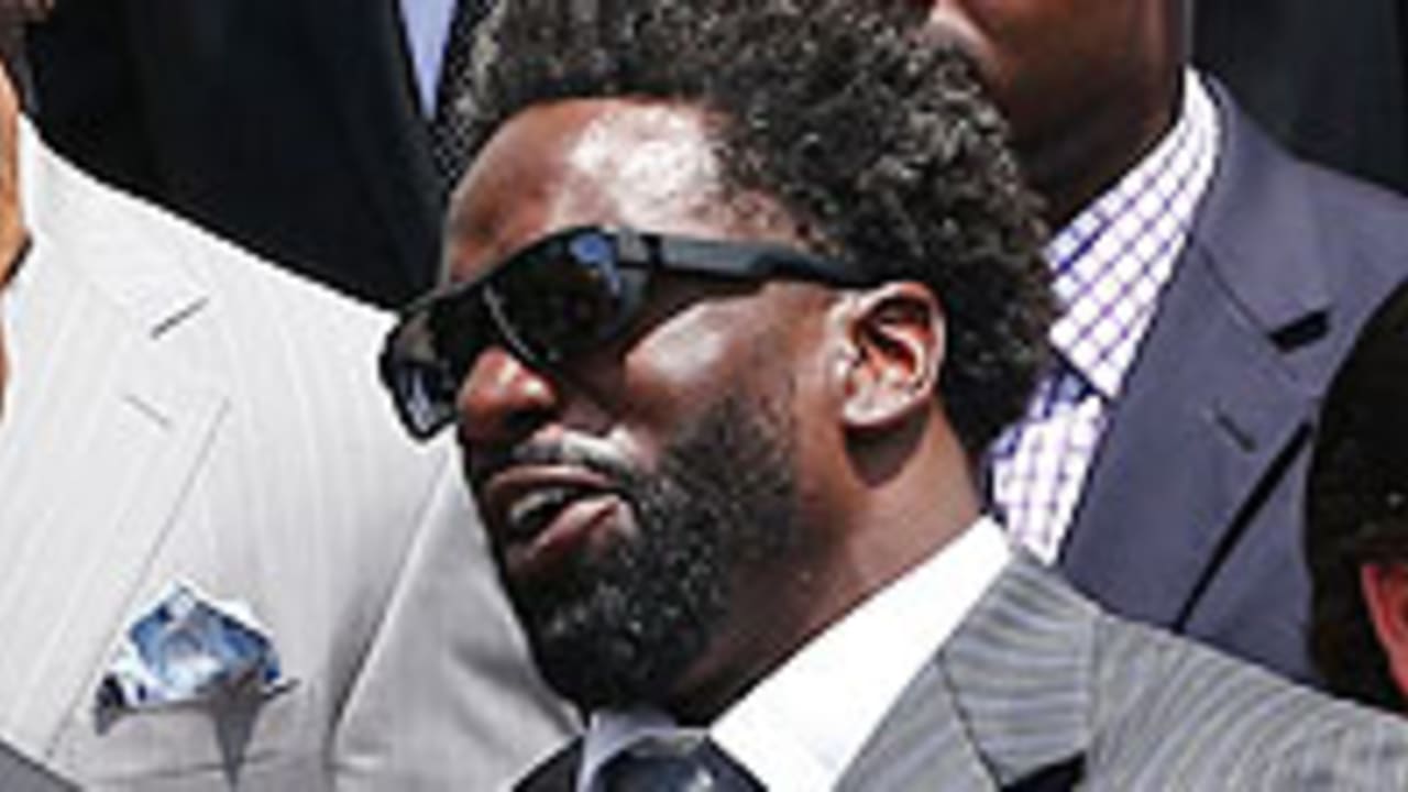 ed-reed-spot_130606