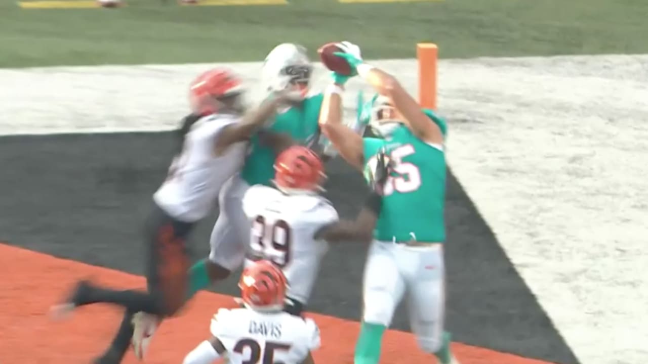 Miami Dolphins quarterback Reid Sinnett (4) watches a video replay