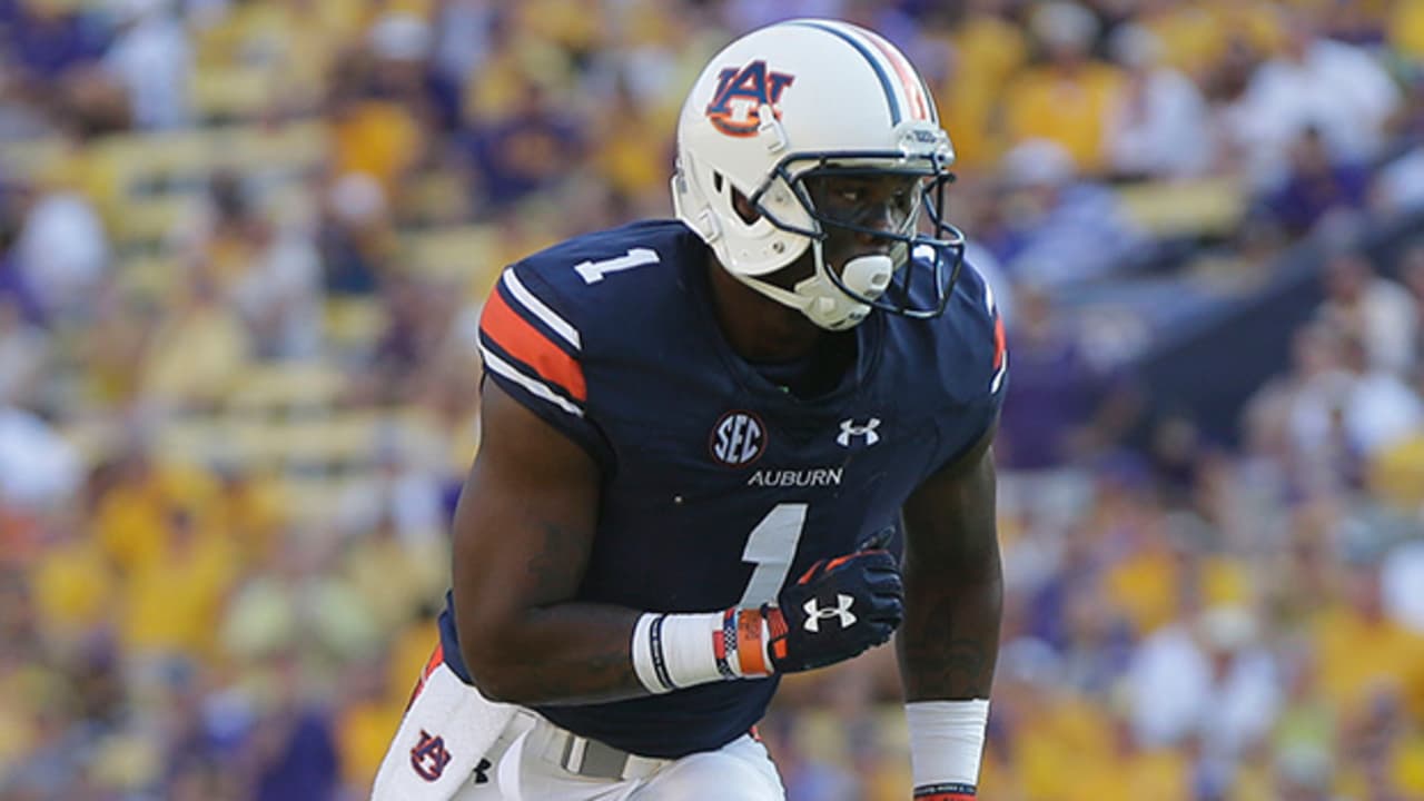 D'haquille Williams-151006-TOS.jpg
