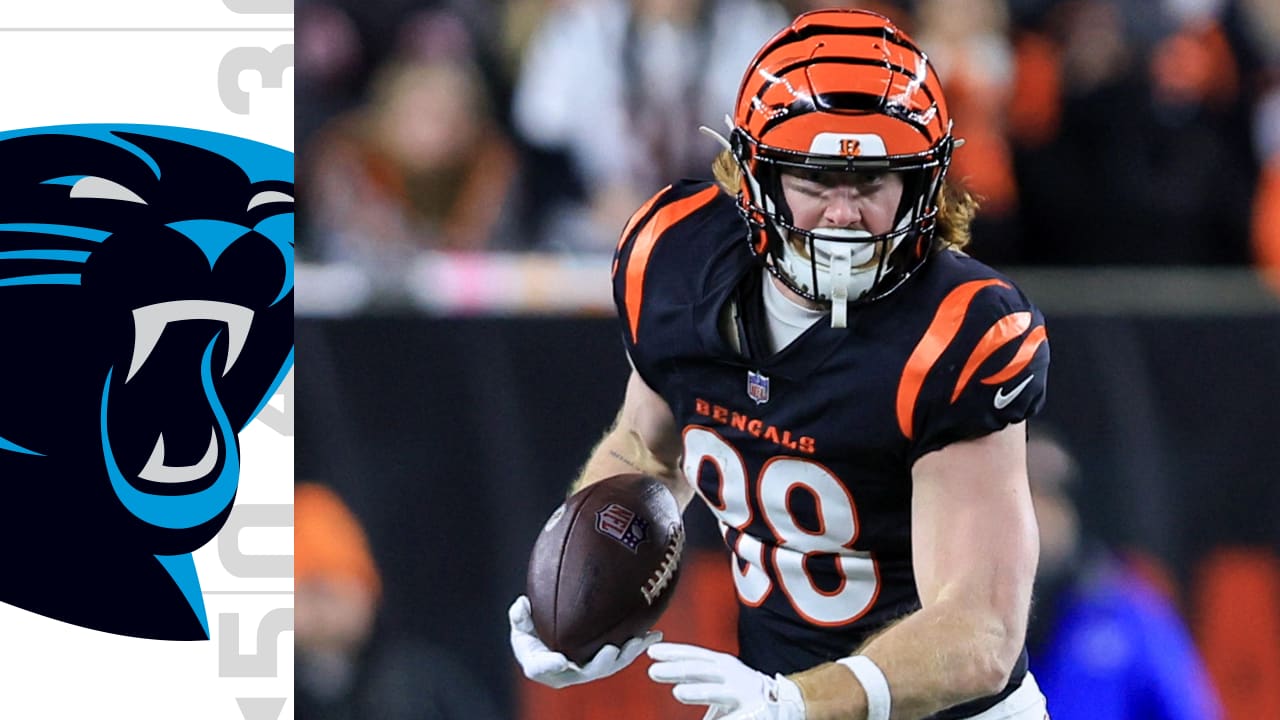 Carolina Panthers to sign ex-Cincinnati Bengals TE Hayden Hurst