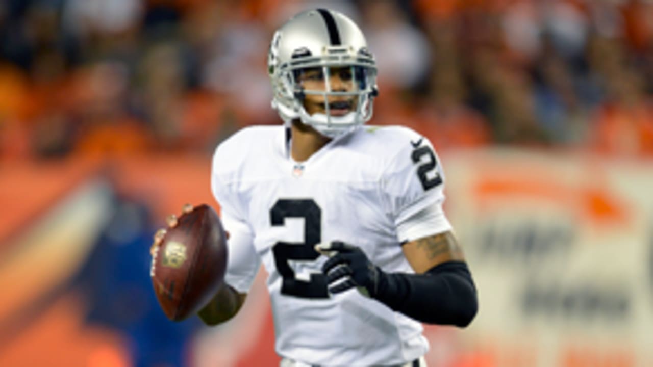 terrelle-pryor-093013-evo.jpg