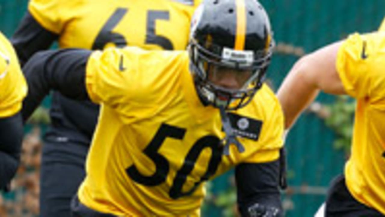 Patriots poised for Steelers' Polamalu