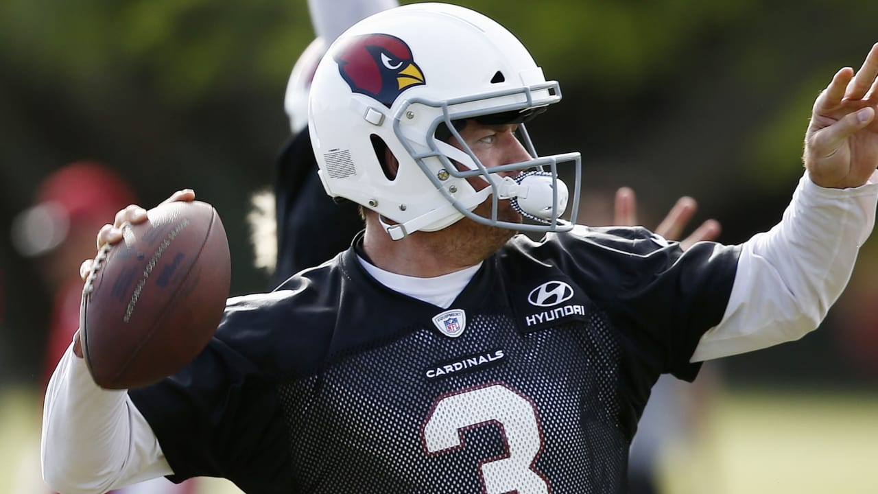 CARSON_PALMER_060817