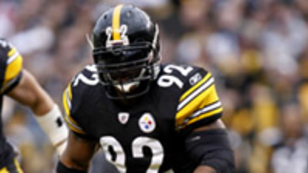 james-harrison-041213-spot.jpg