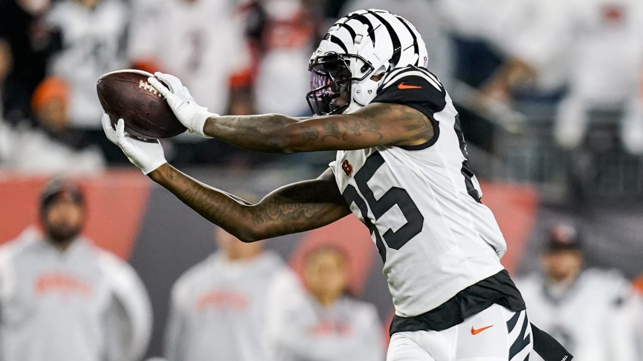 Cincinnati Bengals wide receiver Tee Higgins' best catches from his 124