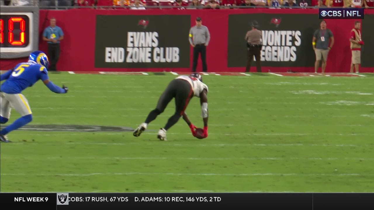 Tampa, Florida, USA. 17th Nov, 2019. Tampa Bay Buccaneers wide receiver  Chris Godwin (12) catches the ball for a touchdown during the NFL game  between the New Orleans Saints and the Tampa