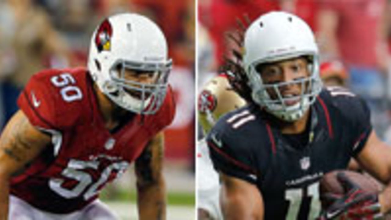 Larry-Foote-Larry-Fitzgerald-Split-SL-141004